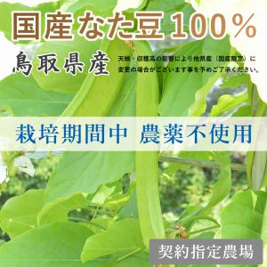 なた豆茶 国産 ティーバッグ(4g×30包)1...の詳細画像5