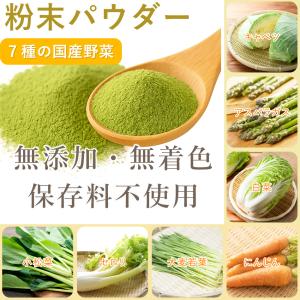 国産 野菜パウダー 7種の野菜(60g)1袋【...の詳細画像2