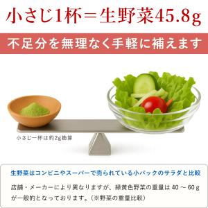 国産 野菜パウダー 7種の野菜(60g)1袋【...の詳細画像3