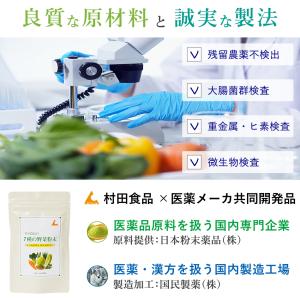 国産 野菜パウダー 7種の野菜(60g)1袋【...の詳細画像5
