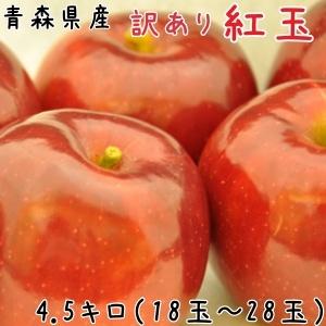 青森りんご☆送料無料☆訳あり紅玉4〜4.5キロ18〜28玉