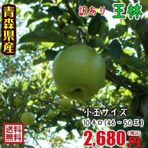■小玉サイズ■青森りんご☆送料無料☆訳ありりんご王林10キロ46〜50玉