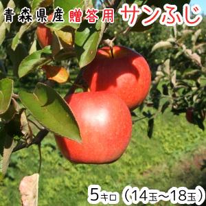 736.青森県産高糖度サンフジリンゴ箱込み3kg贈答可+ブルーベリー600g*3 青森 りんご 3kg箱 サンふじ 家庭用 送料無料 リンゴ 訳あり 3キロ箱