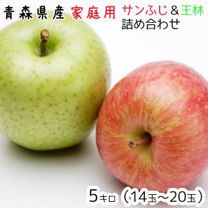 青森りんご☆送料無料☆贈答用サンふじ王林詰め合わせ5キロ14〜18玉