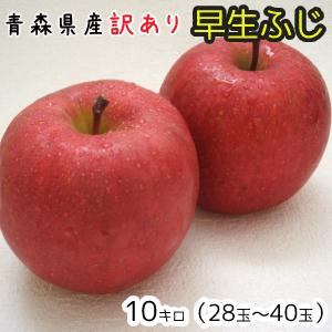 青森りんご☆送料無料☆訳あり早生ふじ10キロ28〜40玉 発送は10月10日頃から