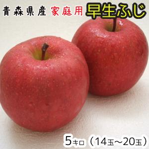 青森りんご☆送料無料☆家庭用早生ふじ5キロ14〜20玉　発送10月10日頃から