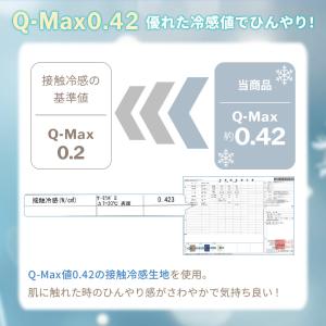 ラグ 夏 2畳 冷感 接触冷感 おしゃれ もち...の詳細画像3