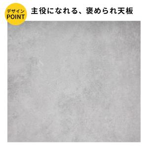 ランドリー収納 ランドリーチェスト 洗面所 収...の詳細画像3