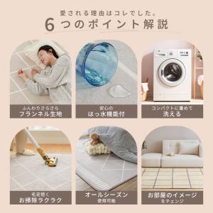 ラグ ラグマット 洗える 北欧 おしゃれ 3畳...の詳細画像4