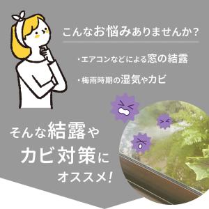 レースカーテン 2枚組 幅100 ミラー 防カ...の詳細画像1