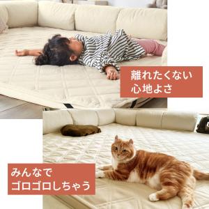 フロアソファー ローソファー ラグ クッション...の詳細画像2