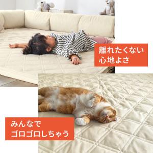 フロアソファー ローソファー ラグ クッション...の詳細画像4