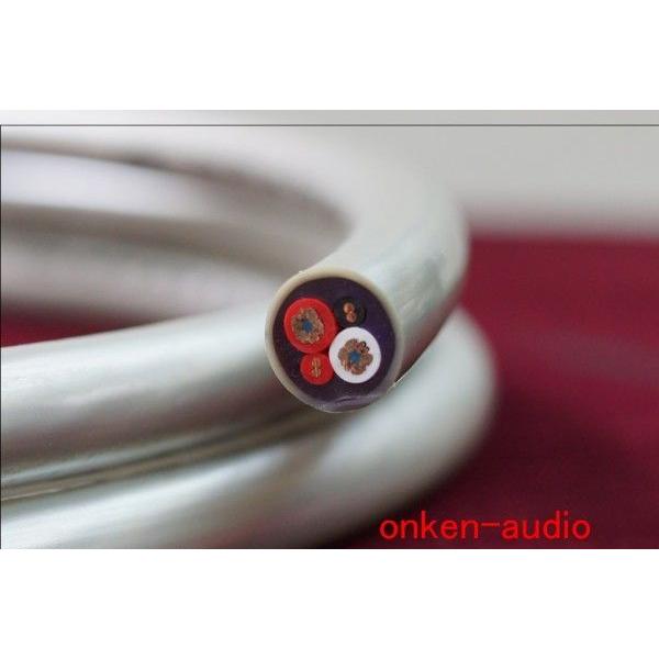 【切り余り品現品限り！ 】SHARKWIRE 電源/スピーカーケーブル AMAZON/2.95m