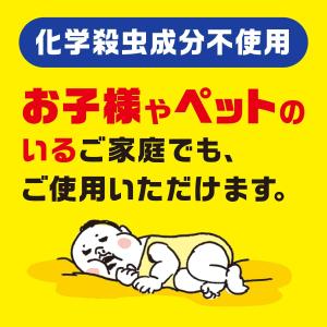 アース製薬 ダニがホイホイ ダニ捕りシート 3枚入の詳細画像1