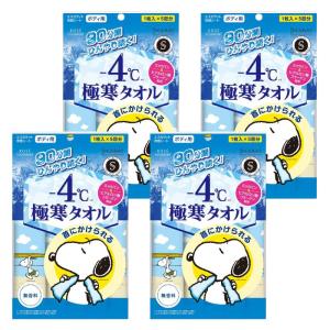【4袋20枚入り】コーセーコスメポート エスカラ...の商品画像