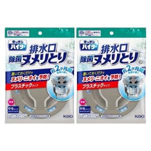 【2セット】花王 キッチンハイター ヌメリとり剤 除菌ヌメリとり 本体 プラスチックタイプ 1個