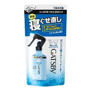 【4袋】マンダム ギャツビー GATSBY 寝ぐせ直しウォーター 詰替用 250ml ヘアスタイリング｜online-3ツィーディア