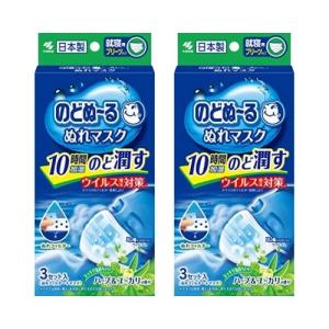 【2箱計6セット】小林製薬 のどぬーる ぬれマスク 就寝用 プリーツタイプ ハーブ＆ユーカリの香り 3セット入