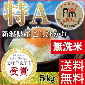 米 5kg 無洗米 こしひかり 特Ａコシヒカリ 産地直送 新潟県産 お米マイスター厳選 一等米 送料無料 白米