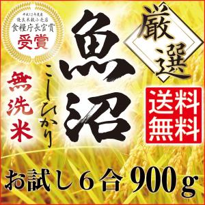 ポイント消化 送料無料 お試し 食品 こしひかり 最高級 魚...
