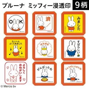 ブルーナ ミッフィー 浸透印SQ 全9種類 こど...の商品画像