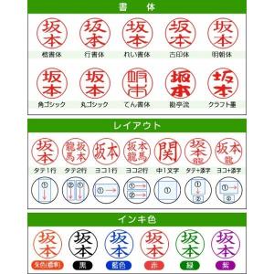 シャチハタ ネーム6 訂正印 ネーム印 即日使...の詳細画像3