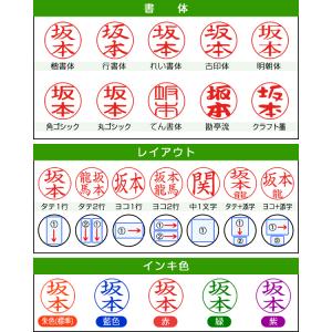 シャチハタ ネーム9 メタリックカラー スピー...の詳細画像4