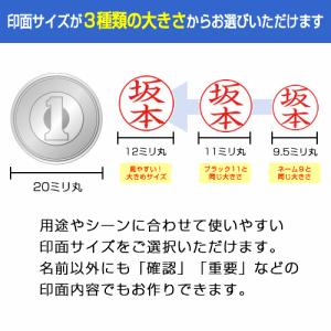シャチハタ スクエアネーム12 真っ直ぐおせる...の詳細画像4