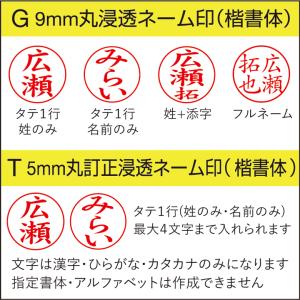 タニエバー ツインGTキャップレス ネーム印 ...の詳細画像1