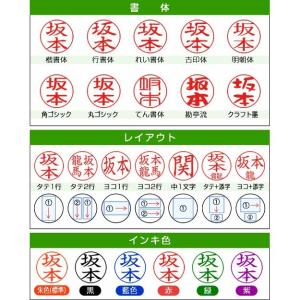 シャチハタ ペアネーム(ネーム印+訂正印)ネー...の詳細画像2