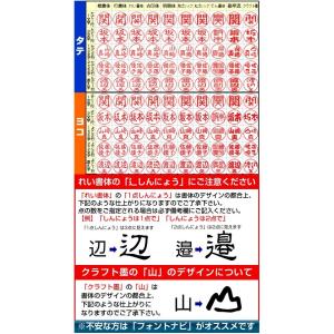 シャチハタ ペアネーム(ネーム印+訂正印)ネー...の詳細画像3