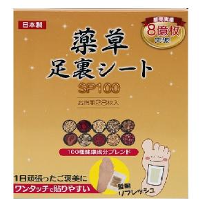 アクセーヌ デイ トリートメント プロテクション 40g : 通販薬局