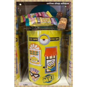 ハリーポッター 百味ビーンズ缶 USJ ハリーポッター パーティーボッツの百味ビーンズ缶 10袋入り