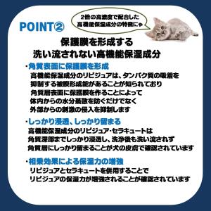 ヒノケア for プロフェッショナルズ スキン...の詳細画像3
