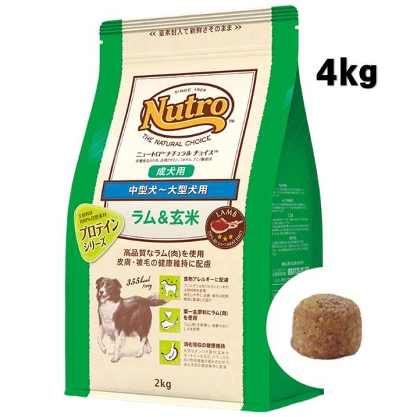 ニュートロ ナチュラルチョイス ラム&amp;玄米 中型犬〜大型犬用 成犬用 4kg【正規品】