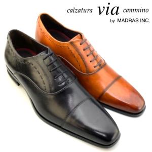 ビジネスシューズ 本革 メンズ 革靴 ストレートチップ 内羽根 紳士靴 幅広 3E 黒 茶 VC1523 calzatura via cammino byMADRAS INC マドラス