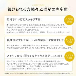 02_自宅のトイレでできる 腸内洗浄スリムエネ...の詳細画像3