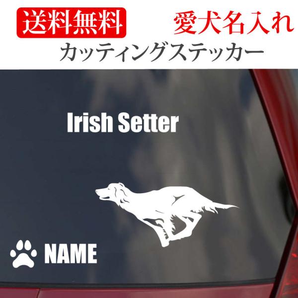 アイリッシュセッター ステッカー アイリッシュセター カッティングステッカーRUN 車 名入り