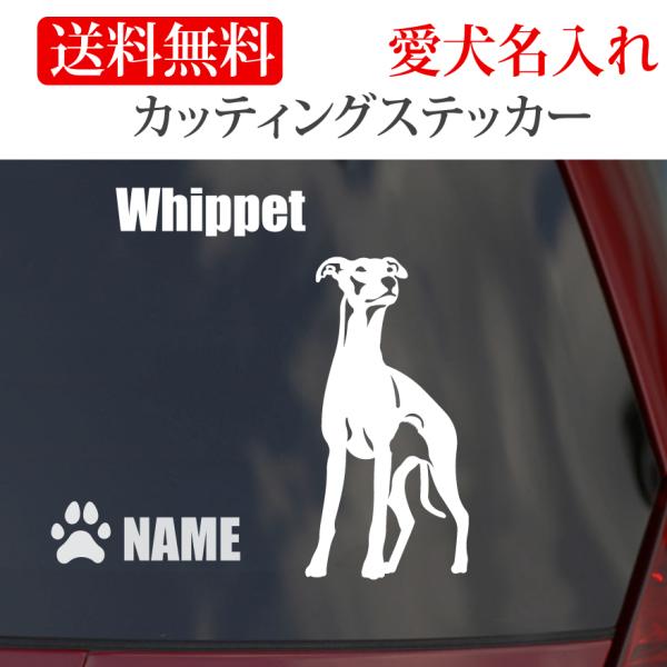 ウィペット ステッカー カッティングステッカー 車 名入り