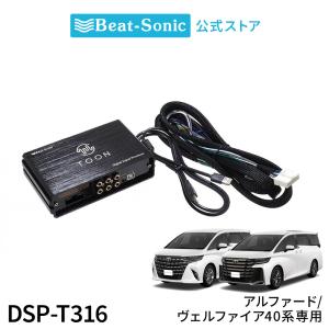 【値下げ中!】Beat-Sonic TOON Xシリーズ DSPT-T316 Beat-Sonic TOON Xシリーズ DSPT-T316
