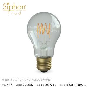 フィラメントLED電球「Siphon」ザ・バルブ LDF40D E26 Silver mirror