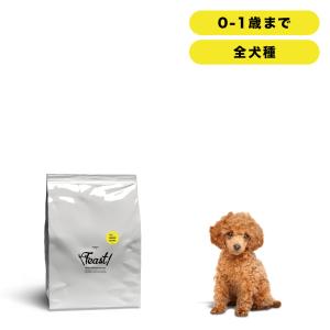 ORIJEN（オリジン） 【正規品】オリジン シニア 6kg : ゆーほ