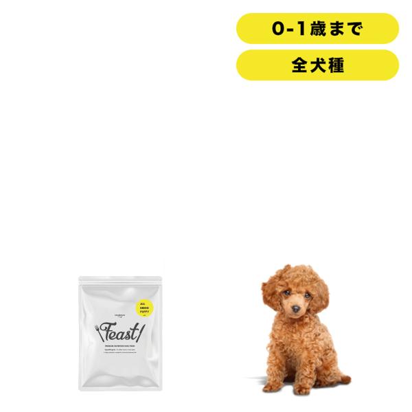 INUMESHI　フィースト　子犬用　全犬種用　200g　おためしパック