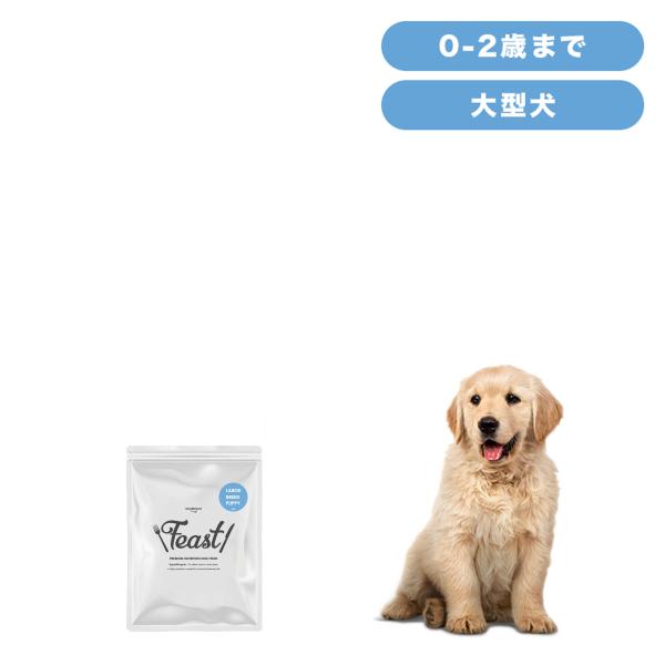 INUMESHI　フィースト　子犬用　大型犬用　200g　おためしパック