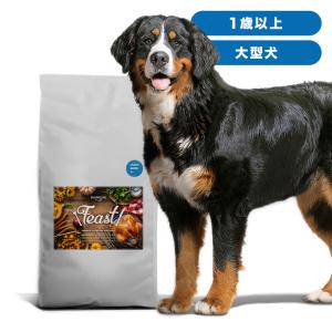 INUMESHI　フィースト　1歳以上　大型犬用　15kg　ブリーダーパック
