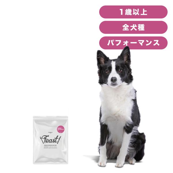 INUMESHI　フィースト　プレミアム　パフォーマンス　1歳以上　活発犬用　200g　おためしパッ...