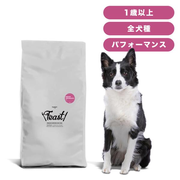 INUMESHI　フィースト　プレミアム　パフォーマンス　1歳以上　活発犬用　15kg　ブリーダーパ...