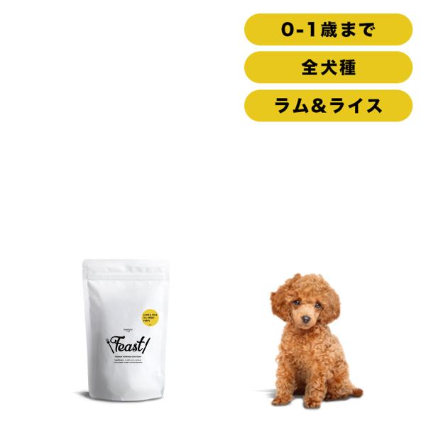 INUMESHI　フィースト　ラム&amp;ライス　子犬用　全犬種用　1kg