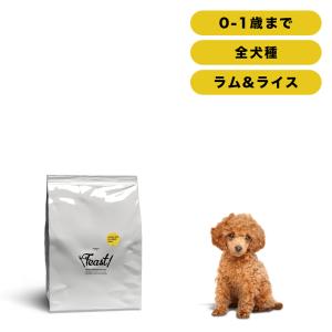 INUMESHI フィースト 子犬用 大型犬用 15kg ブリーダーパック