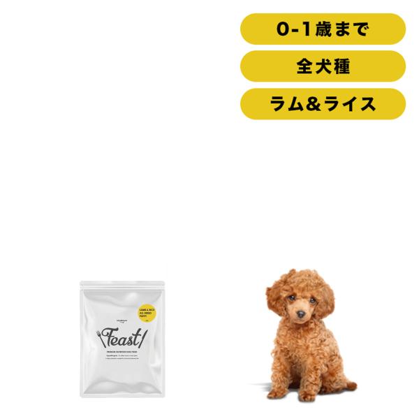 INUMESHI　フィースト　ラム&amp;ライス　子犬用　全犬種用　200g　おためしパック